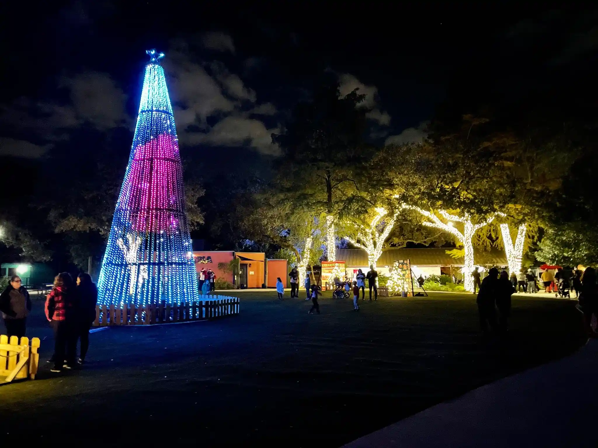 ZooLights Experience: San Antonio Zoo