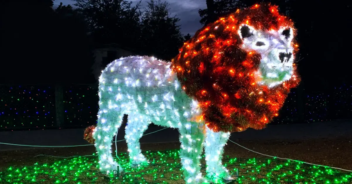 ZooLights Experience: San Antonio Zoo